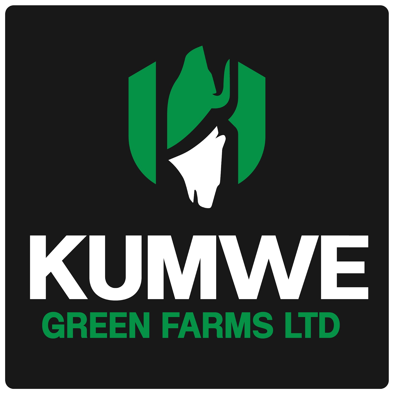 http://Kumwe%20farm